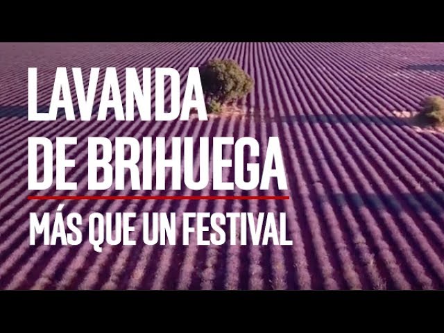 Brihuega en Vivo: Guía Completa de Conciertos y Eventos Musicales