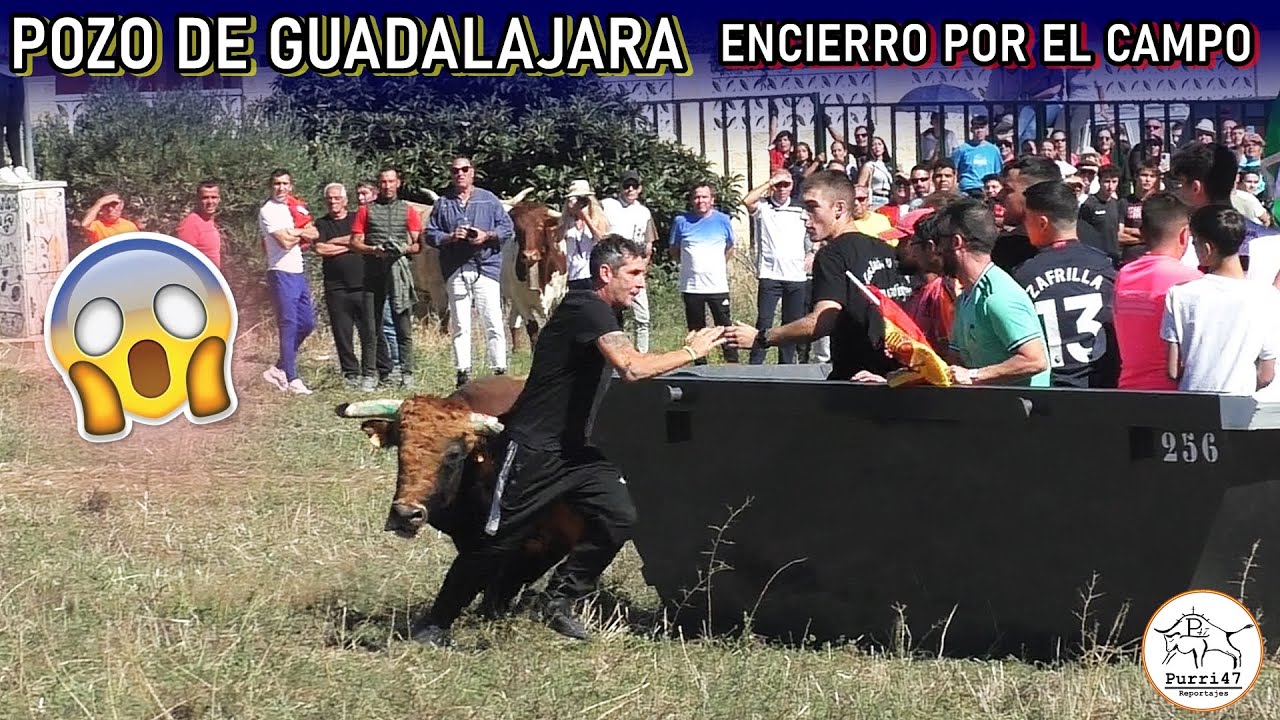 Guía Completa de Comarket Pozo en Guadalajara: Todo lo que Necesitas Saber