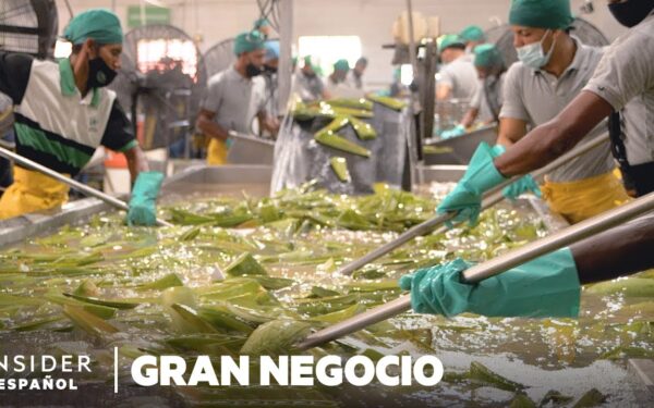 Las Mejores Empresas en Alovera: Guía Completa para Encontrar Servicios y Oportunidades