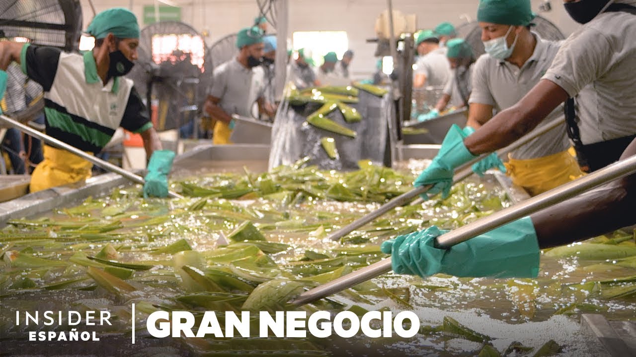 Las Mejores Empresas en Alovera: Guía Completa para Encontrar Servicios y Oportunidades