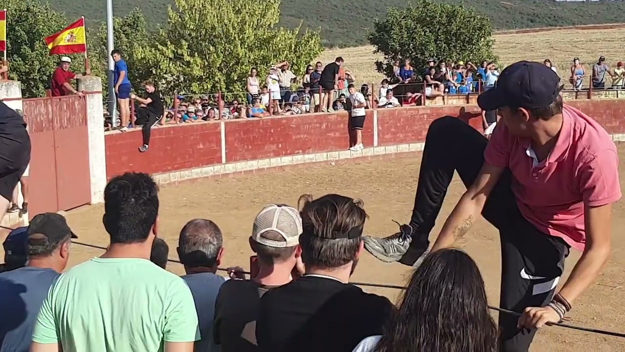 Fiestas de Malaguilla: Tradición y Alegría en sus Celebraciones Anuales