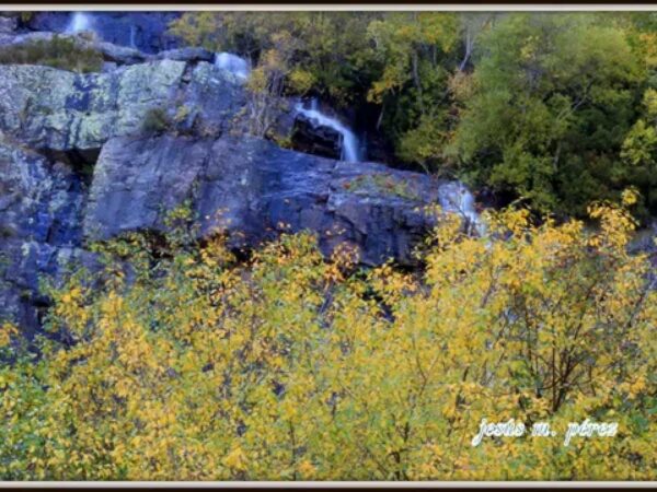 Hoteles en Valverde de los Arroyos: Alojamientos con Encanto en el Corazón de la Naturaleza