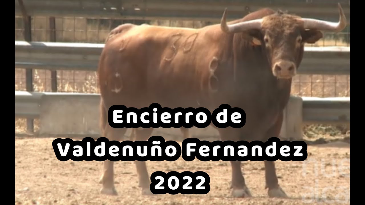 Explorando Valdenuño Fernández: Atracciones y Lugares Imperdibles