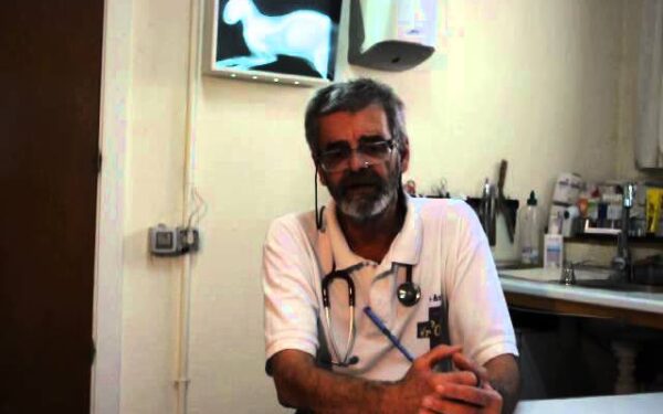Veterinario en El Casar: Atención Profesional para tu Mascota